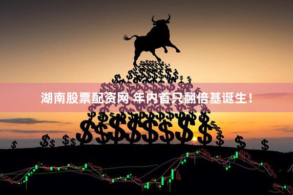 湖南股票配资网 年内首只翻倍基诞生！